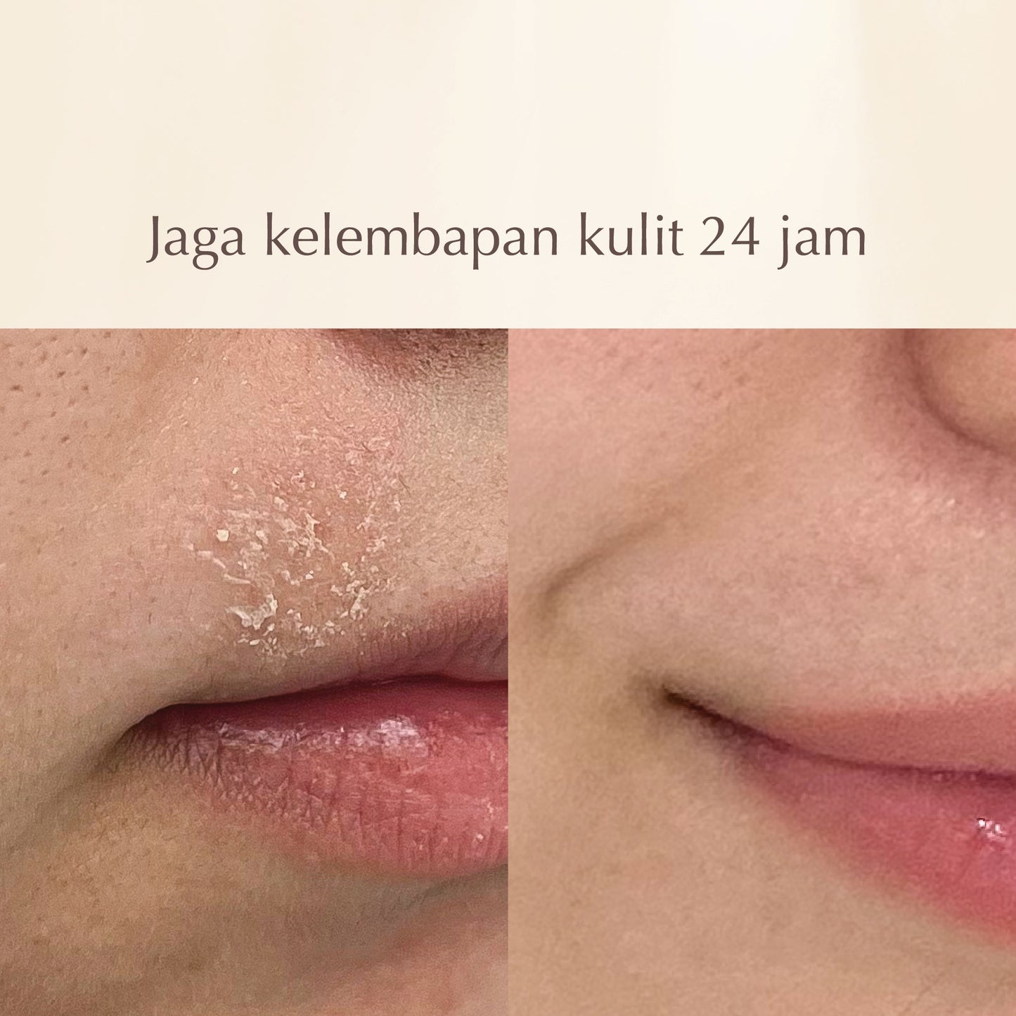 Prickly Pear Hydrating Face Mask | Nutrisi kulit & Memperkuat Skin Barrier | Jaga kelembapan kulit | BPOM