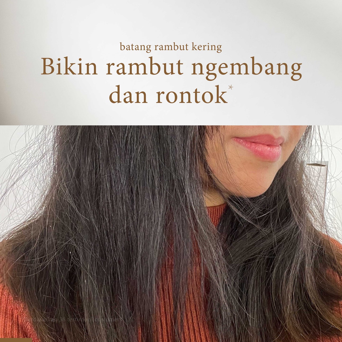 Miss Daisy French Perfume Hair Mask | Peony & Amber | Hairmask Rambut Halus Mengkilap | Wangi Tahan Lama | Hit Protection Hair Mask | BPOM